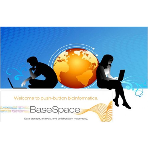 Basespace