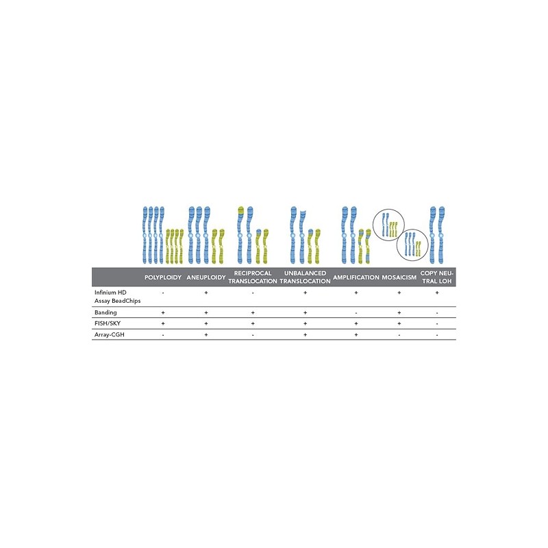 Cytogenetic Analysis
